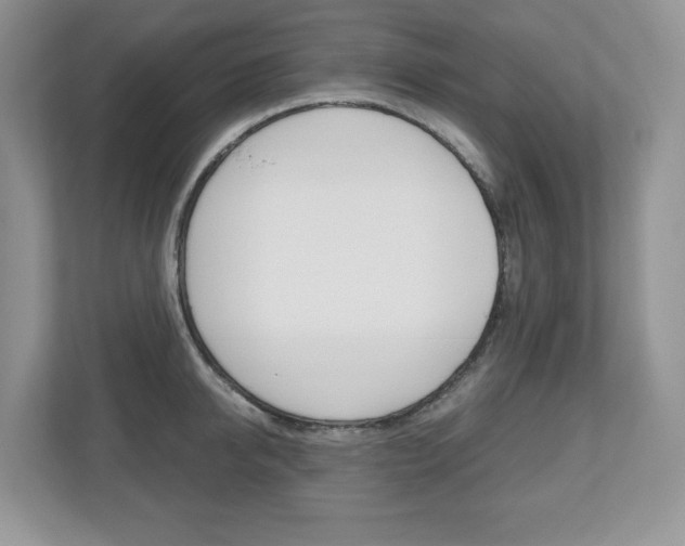 X0000112530950200908171142