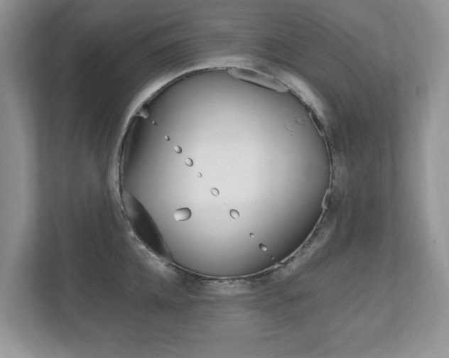 X0000112530952200908171142