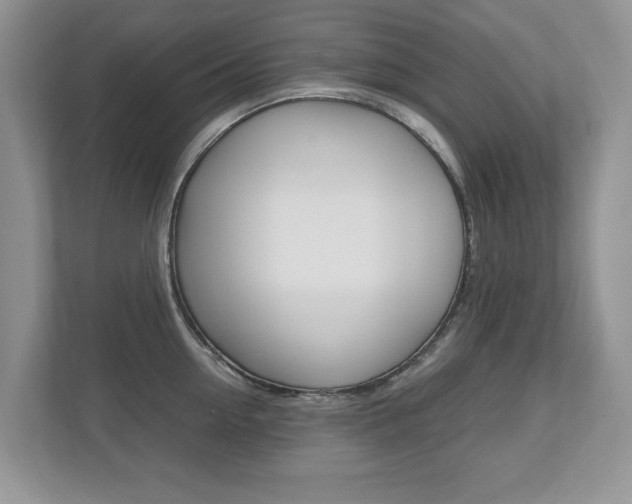 X0000112530954200908171142