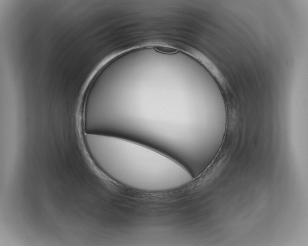 X0000112530955200908171142