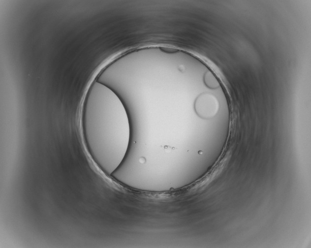 X0000112530957200908171142