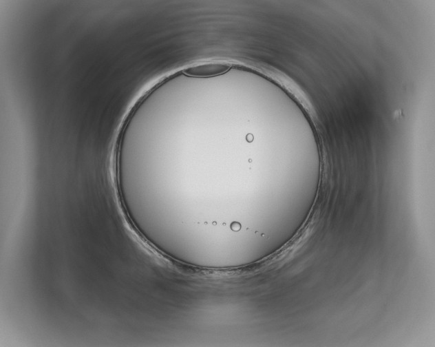 X0000112530958200908171142