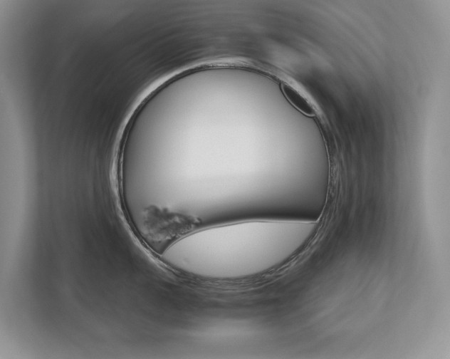 X0000112530959200908171142