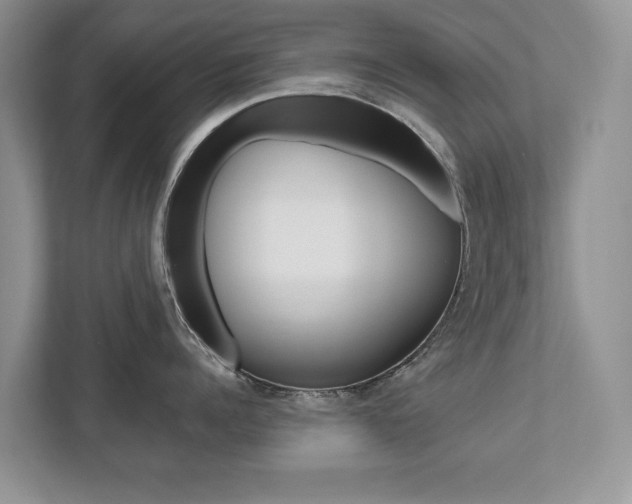 X0000112530960200908171142