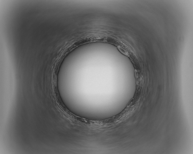 X0000112530961200908171141