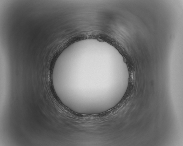 X0000112530963200908171141