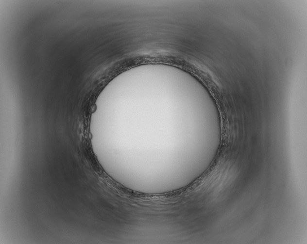 X0000112530966200908171141