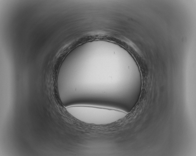 X0000112530967200908171141