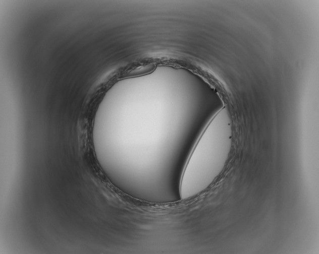 X0000112530968200908171141