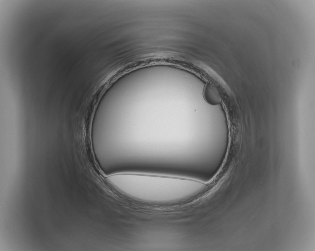 X0000112530969200908171141