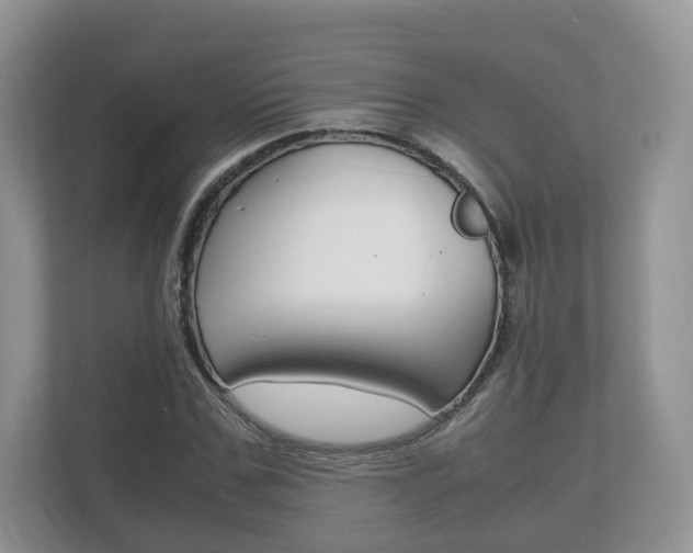 X0000112530971200908171141
