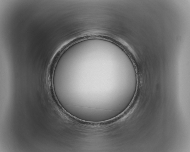X0000112530973200908171141