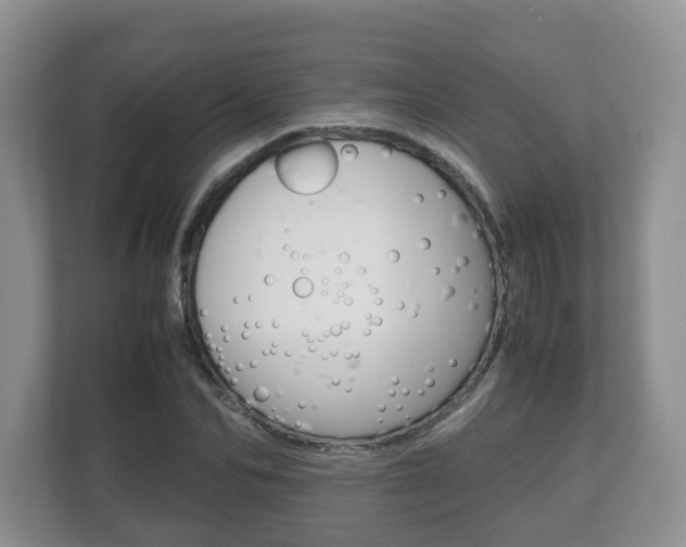 X0000112530974200908171141