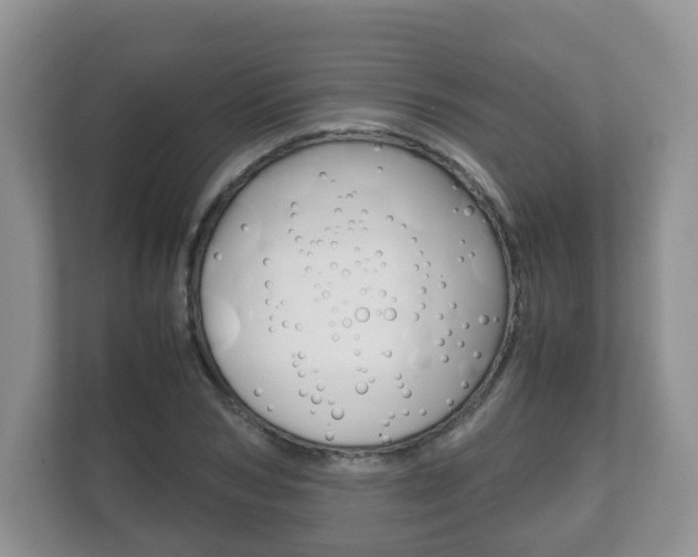 X0000112530978200908171141