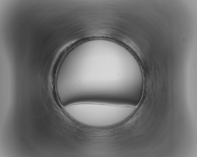 X0000112530979200908171141