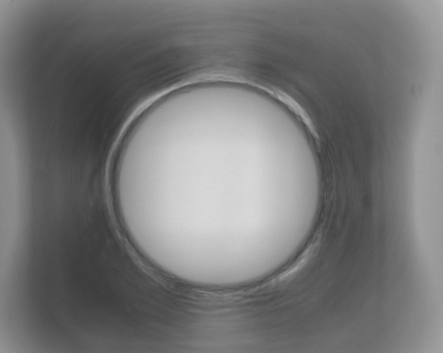 X0000112530981200908171141