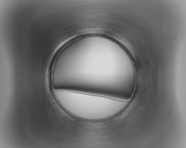X0000112530983200908171141