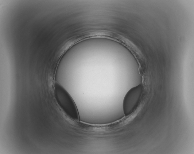 X0000112530985200908171141