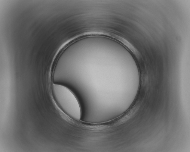X0000112530988200908171141