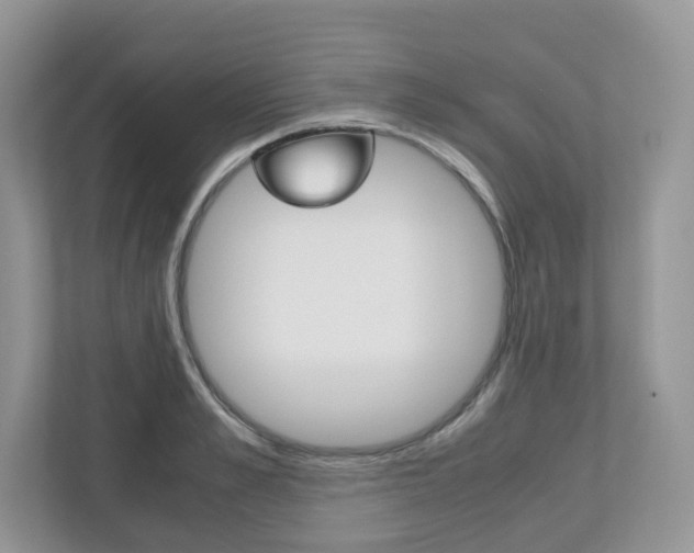 X0000112530989200908171141