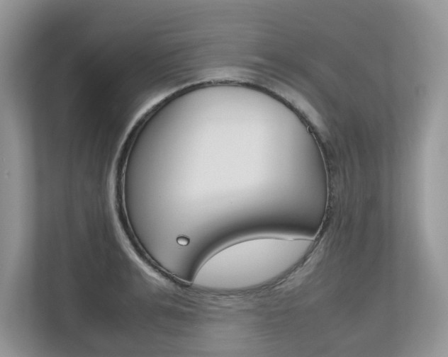 X0000112530991200908171141