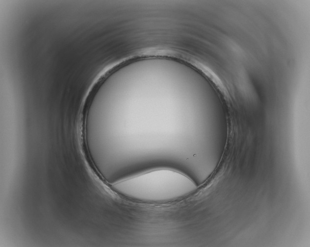 X0000112530992200908171141