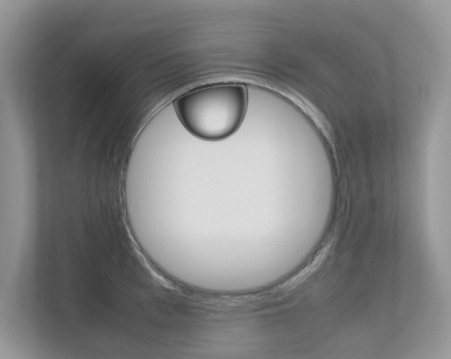 X0000112530993200908171141