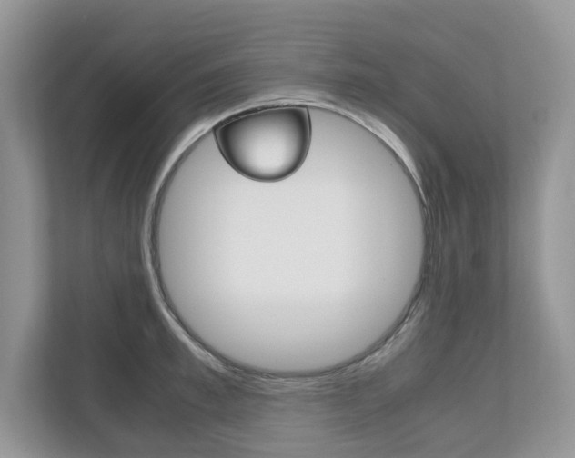 X0000112530997200908171141