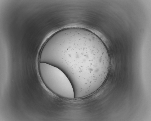 X0000112530998200908171141