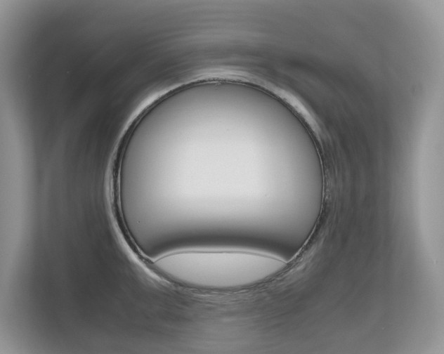 X0000112530999200908171141