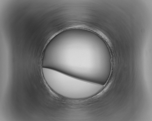 X0000112531001200908171141