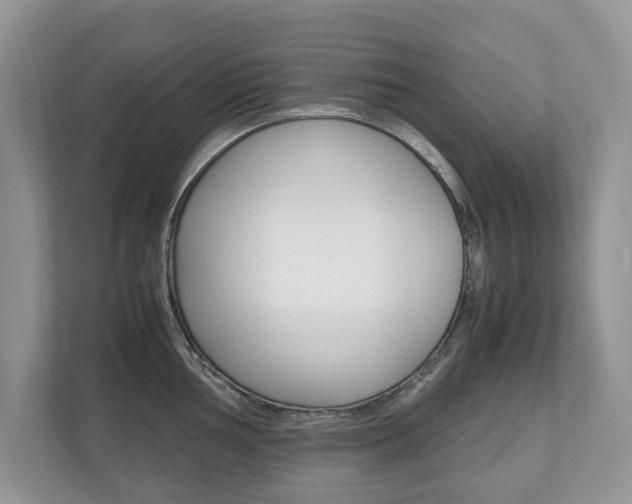 X0000112531002200908171141
