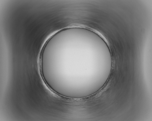 X0000112531003200908171141