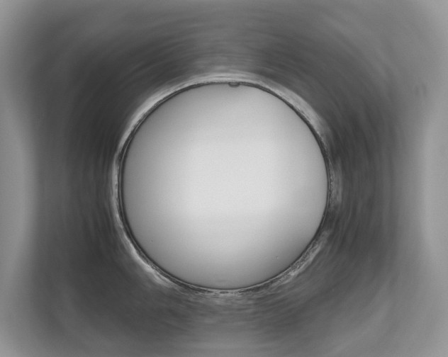 X0000112531006200908171141