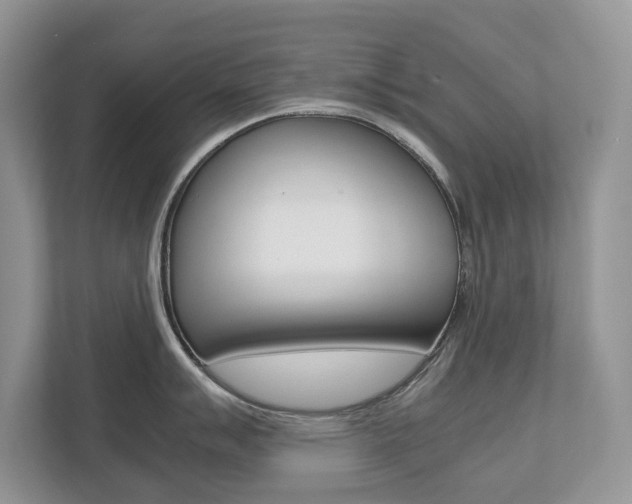 X0000112531007200908171141
