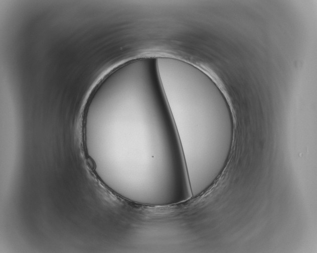X0000112531008200908171141