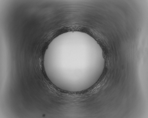 X0000112531010200908171140