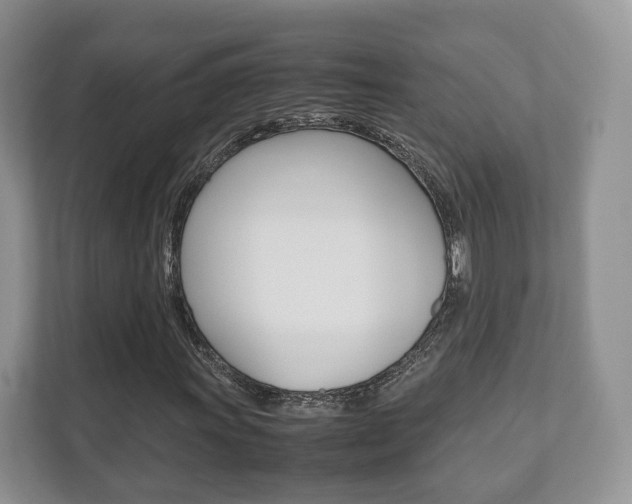 X0000112531011200908171140