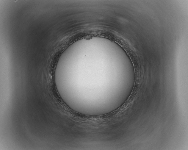 X0000112531013200908171140