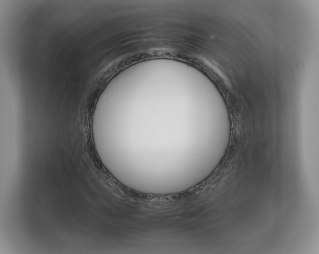 X0000112531015200908171140