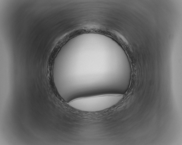 X0000112531016200908171140