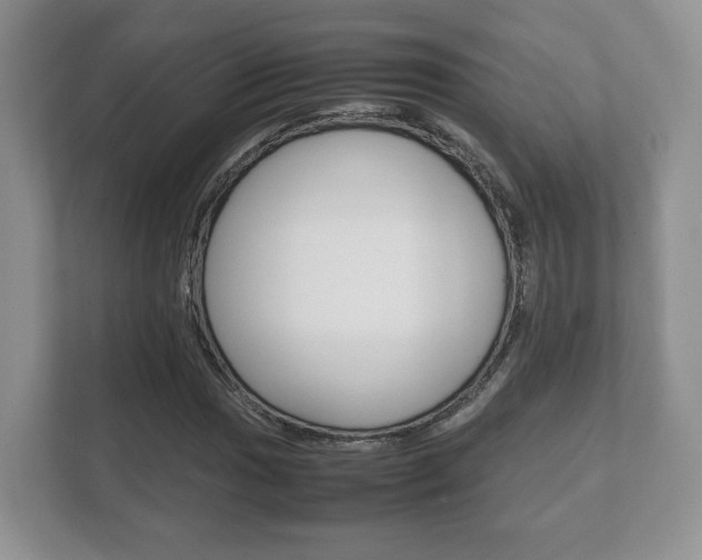 X0000112531017200908171140