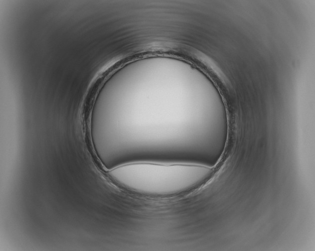 X0000112531018200908171140