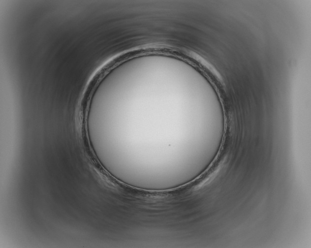 X0000112531021200908171140