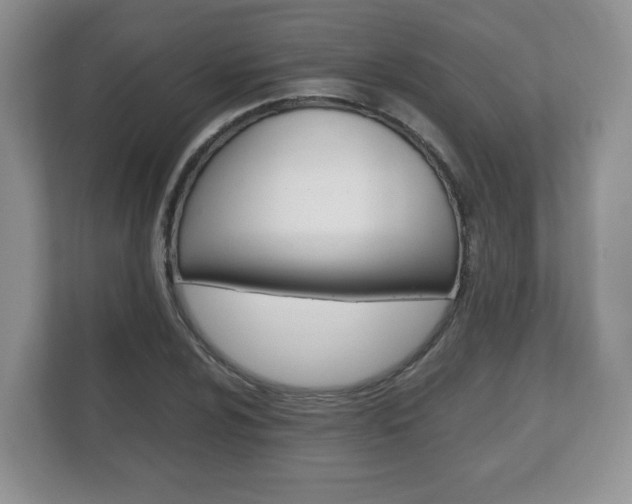 X0000112531024200908171140
