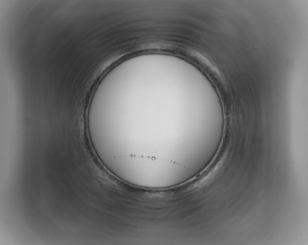 X0000112531025200908171140