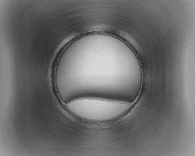 X0000112531026200908171140