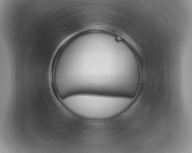X0000112531028200908171140