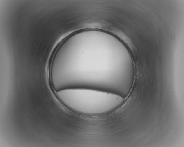 X0000112531032200908171140