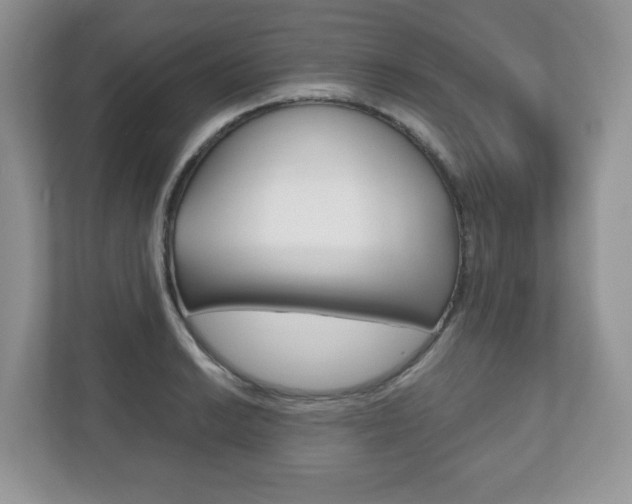 X0000112531038200908171140